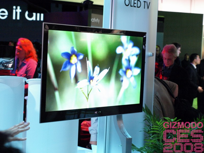 Illustration for article titled Sony 27-inch OLED Prototype Gallery